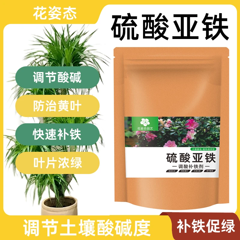 大袋装【硫酸亚铁】龙须树专用肥料叶子发黄干枯龙血树黑尖营养液