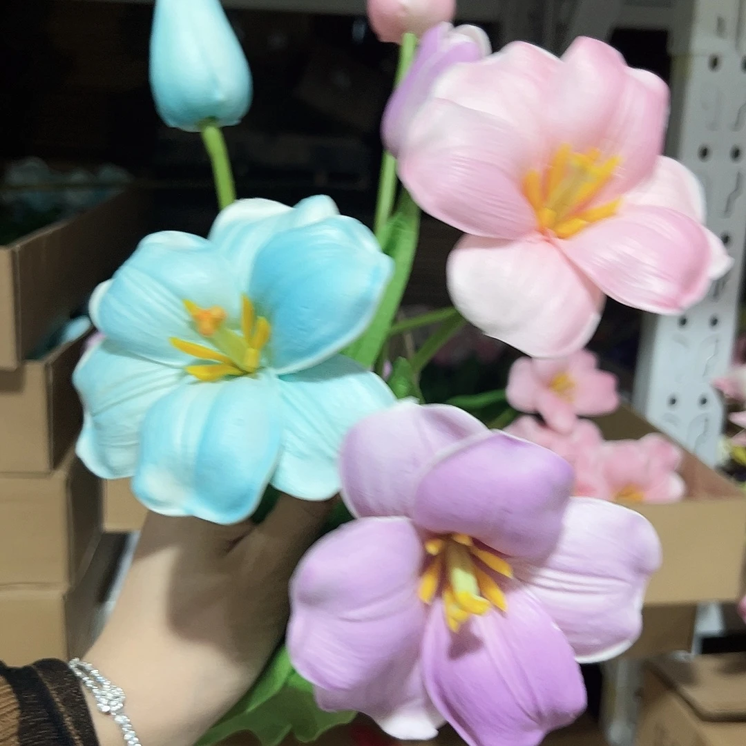 3枝混色2头布朗尼。