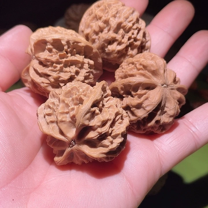 N***g两对核桃核桃核桃核桃