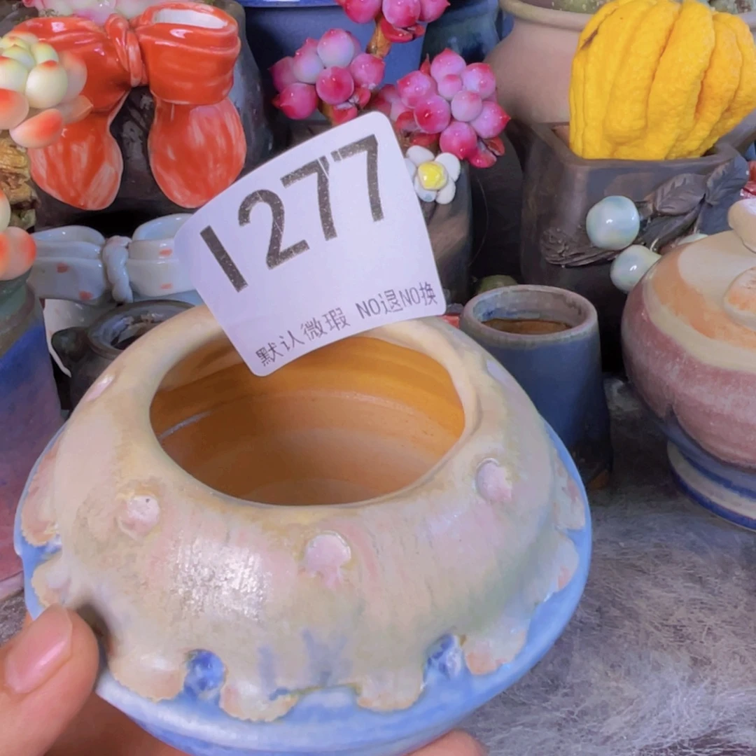 重庆小燕子欢迎大家277