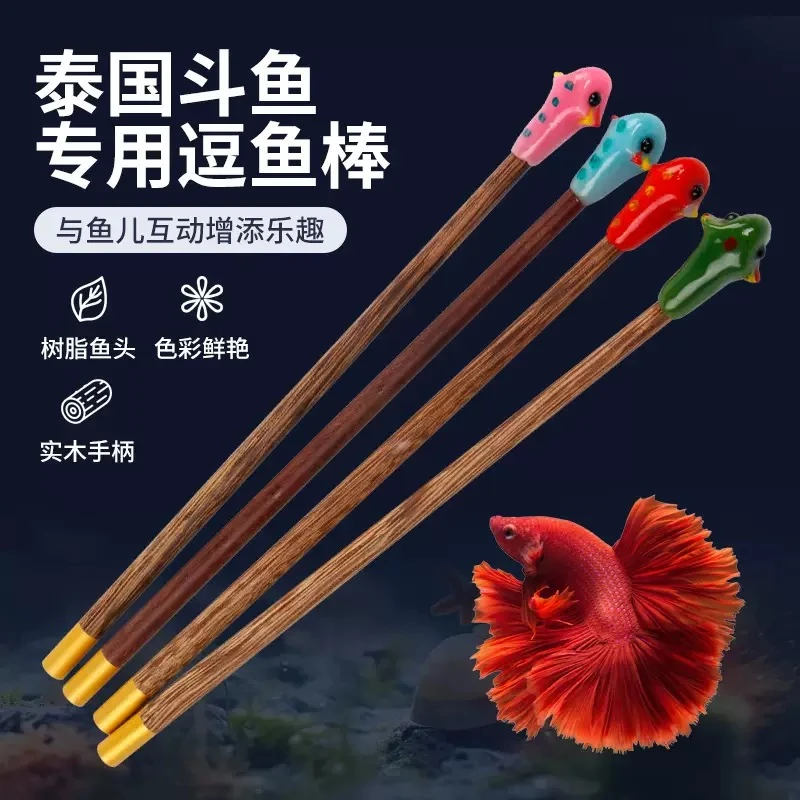 泰国斗鱼棒纯手工制作展尾趣味互动逗鱼训练半月将军狮王马尾