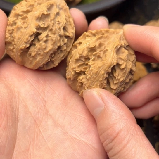 文玩核桃把件秦岭核桃15