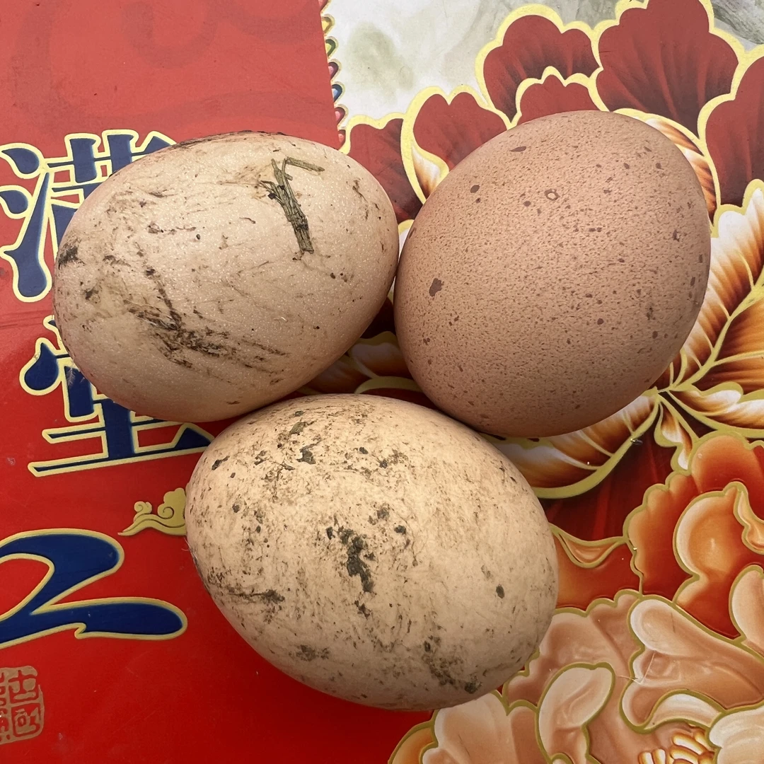 阿杰乡村土特产，正宗粮食鸡蛋，假一赔十。