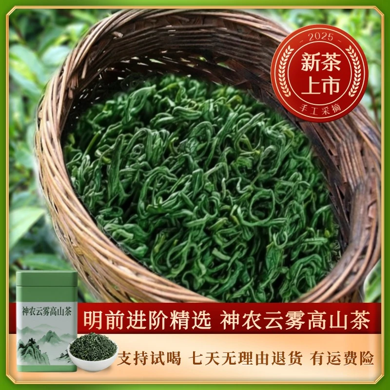 2025新茶明前高山绿茶白茶炒青一芽两叶三叶栗香耐泡甘醇爽口