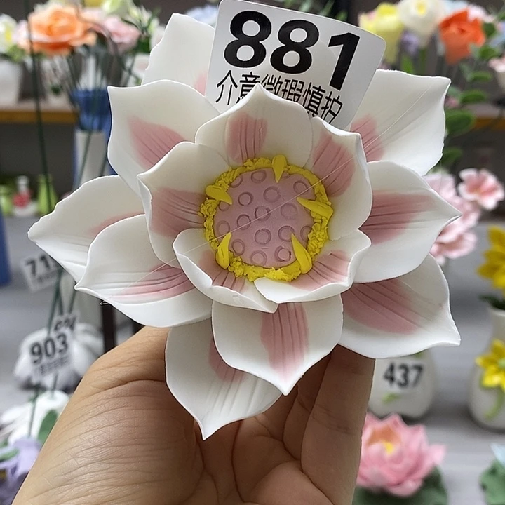 陶瓷陶瓷材料加工