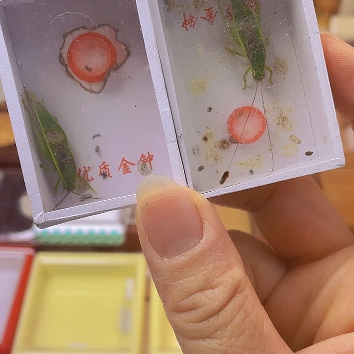 鹨***金钟随单2啊啊啊啊