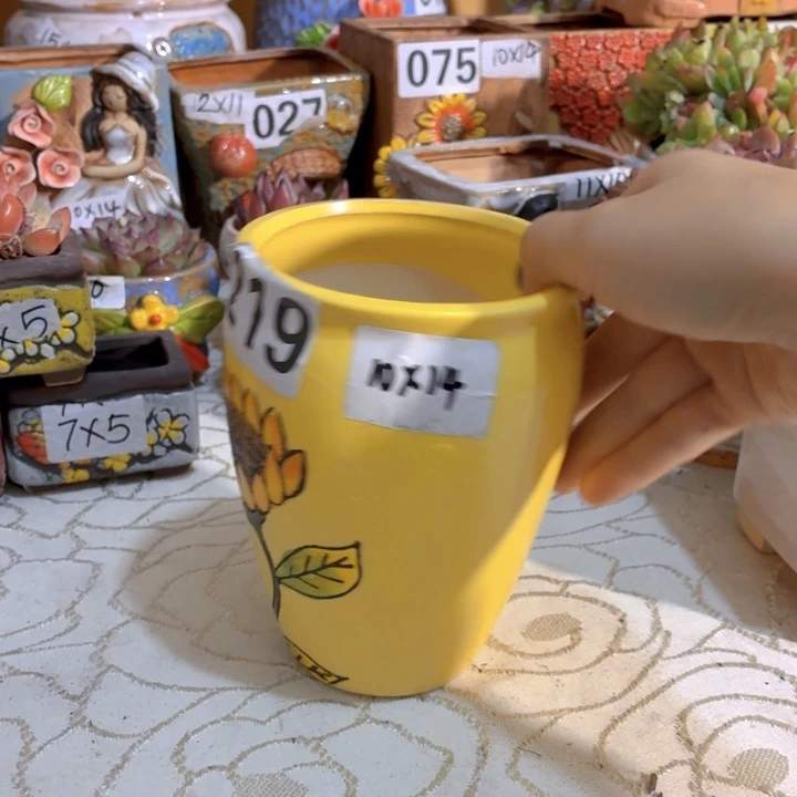 多肉花盆满15包邮