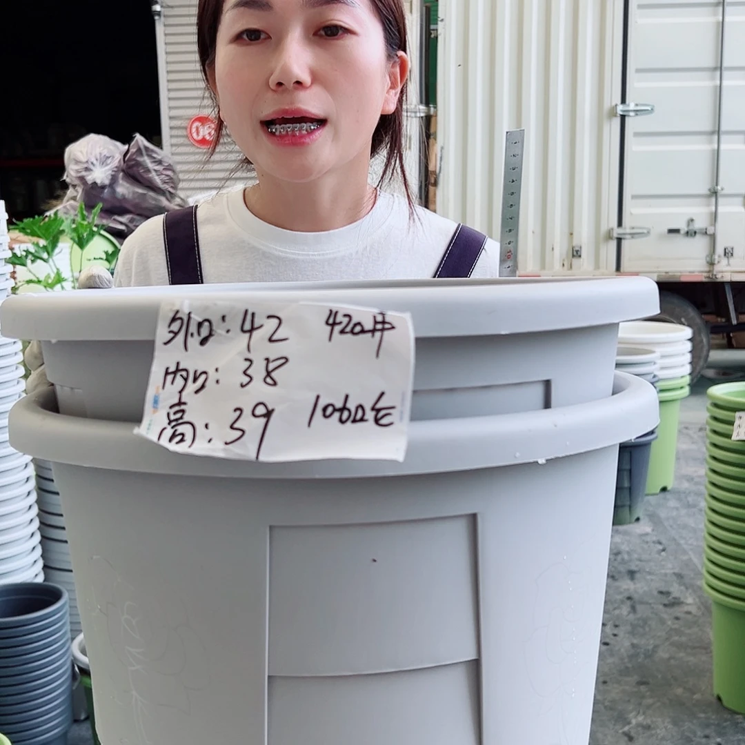 玫瑰盆420#灰白2个无托