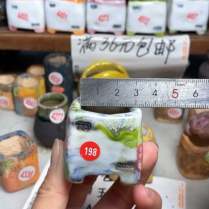 红陶拍5送一个小