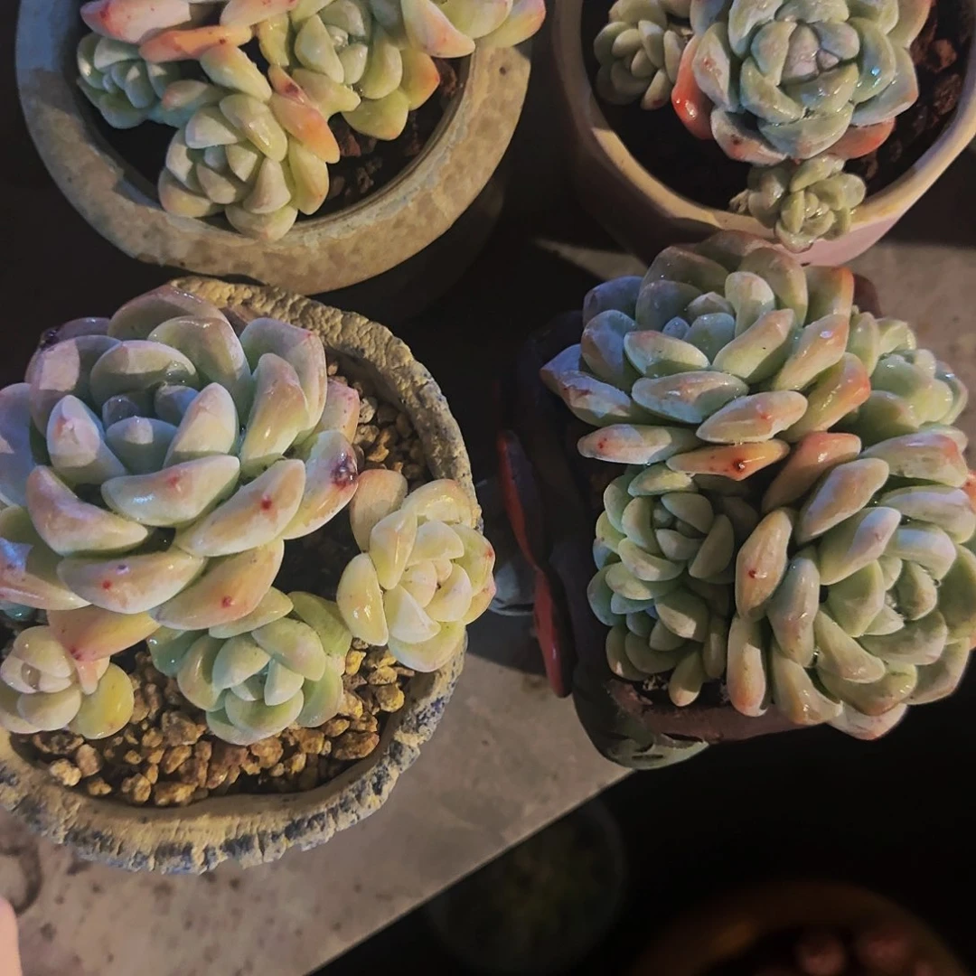 阿***鱼哈哈哈哈哈哈哈哈哈哈哈