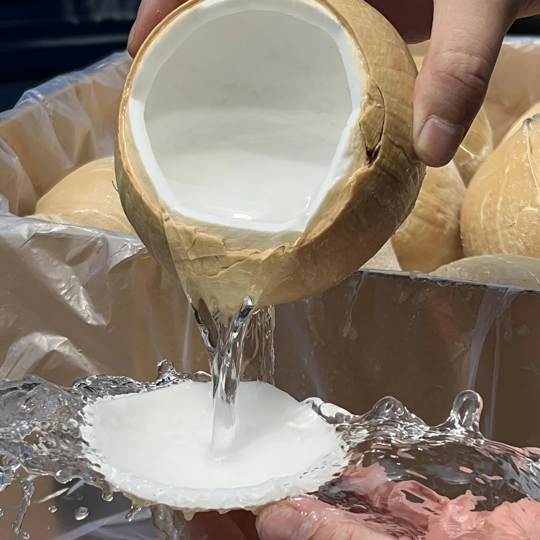 泰国椰皇4个装丹嫩沙多新鲜水果椰子汁椰青天然电解质水顺丰冷运