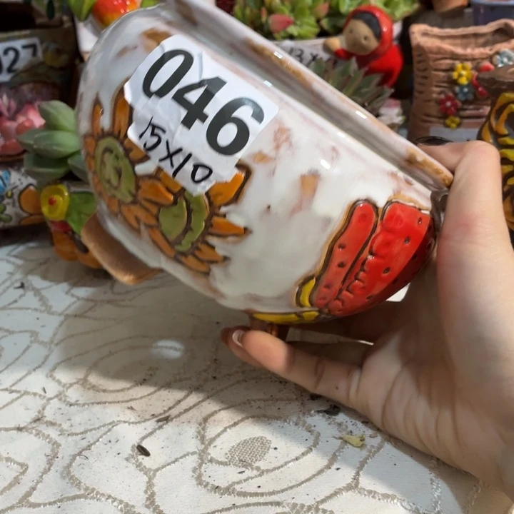 多肉花盆满15包邮爱退款拉黑