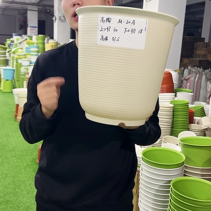 正品陶高口30高31米色3只无托