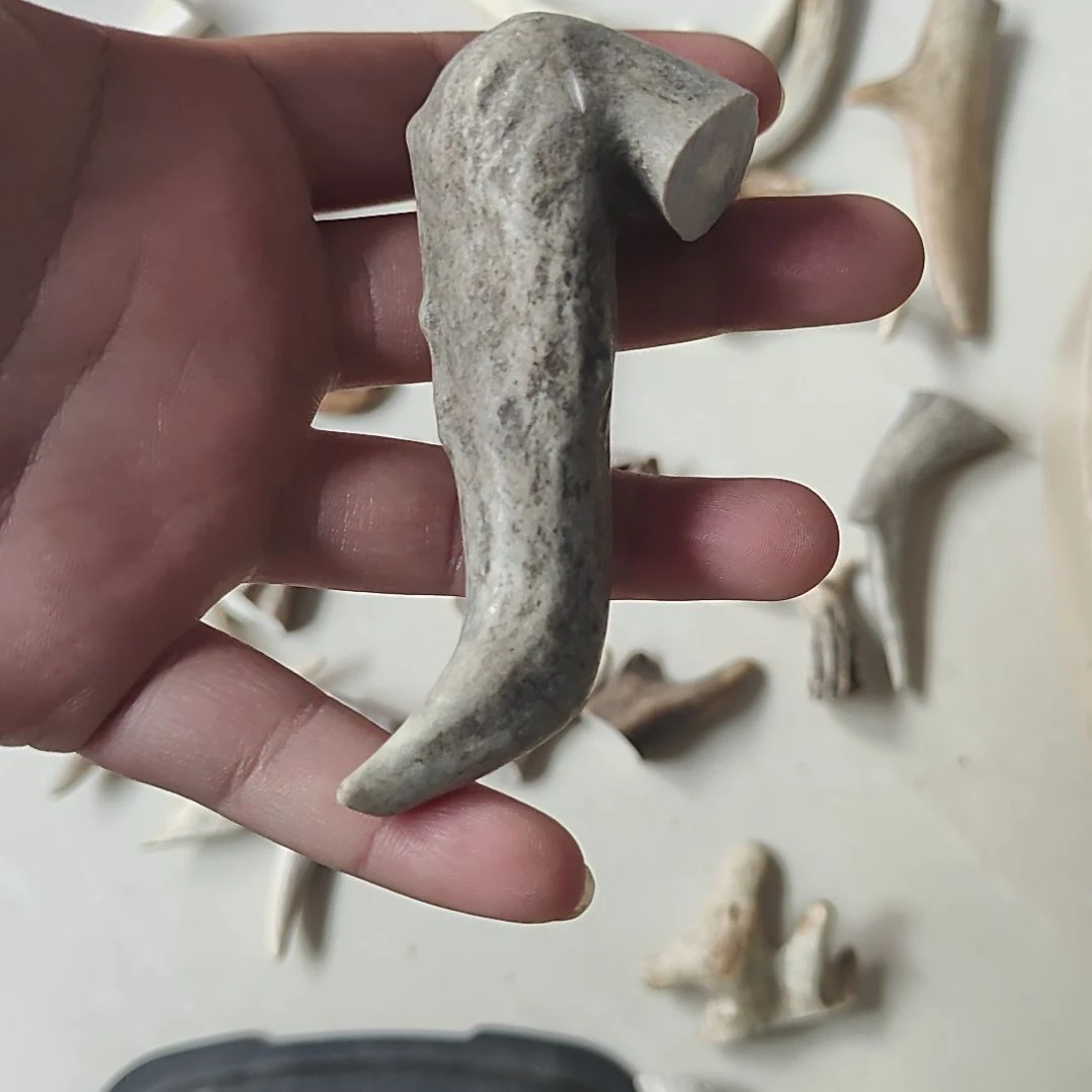非金属鹿角精品小角