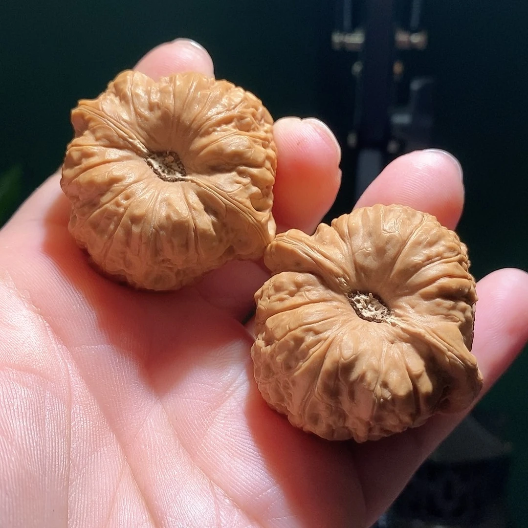文玩核桃把件44南瓜墩