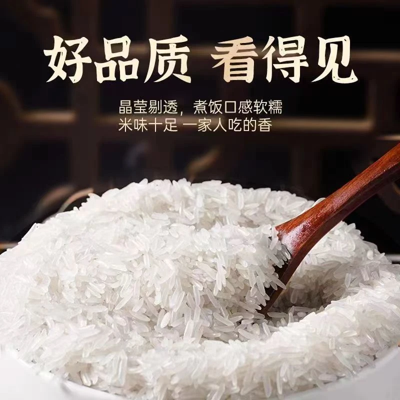 正宗猫牙米新米长粒米香米丝苗米现磨大米煲仔饭软糯现货包邮