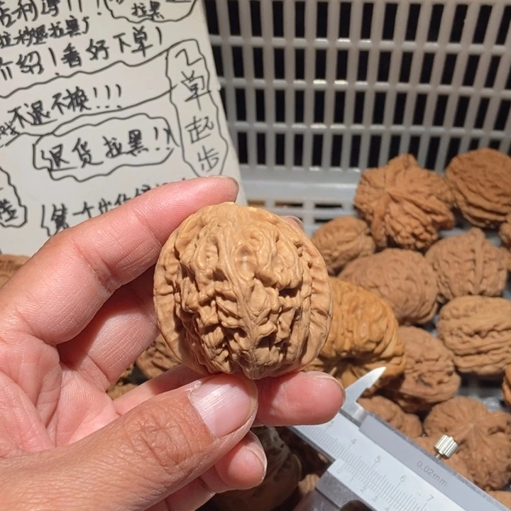 还***儿核桃红锦鲤尺寸43有黄