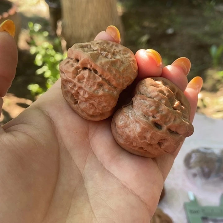 猴头核桃吊坠37➕蛤蟆