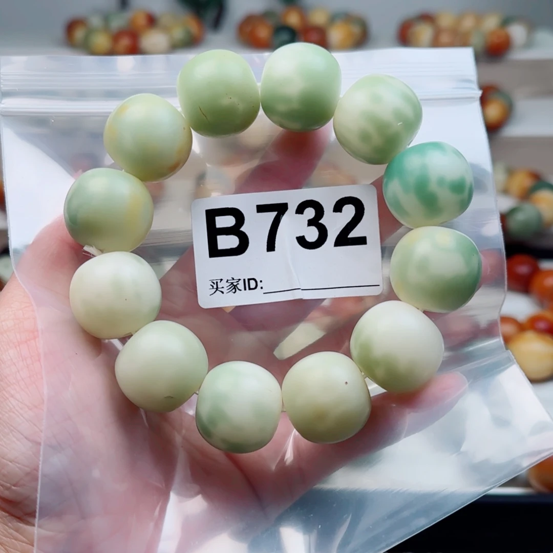 手串菩提根/象牙果22大瑕不退不换。