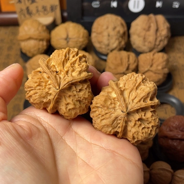 如图一物一拍编号14