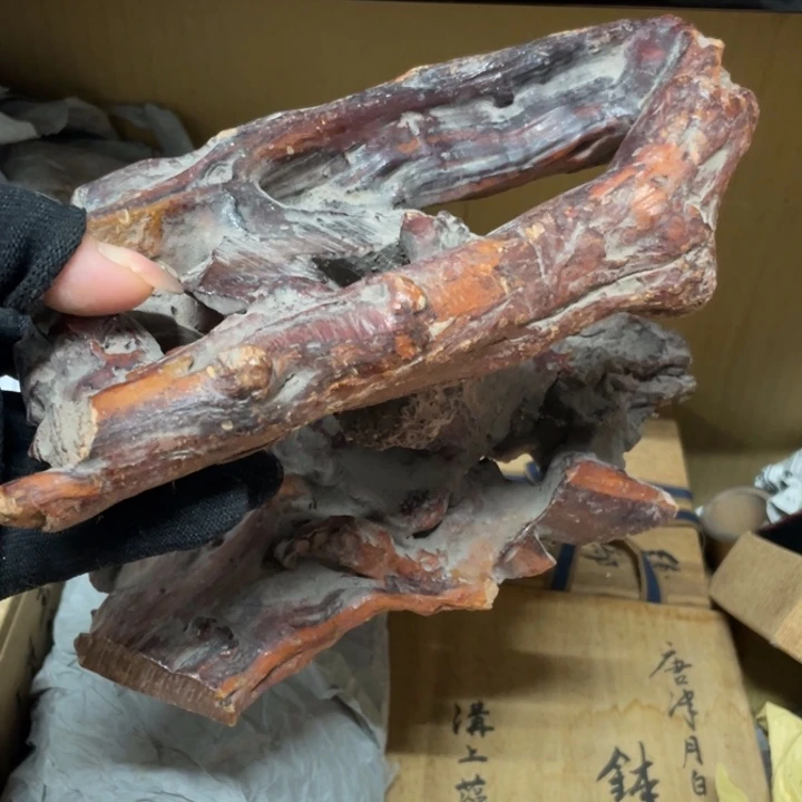 紫砂心中有玫瑰不赏路边花