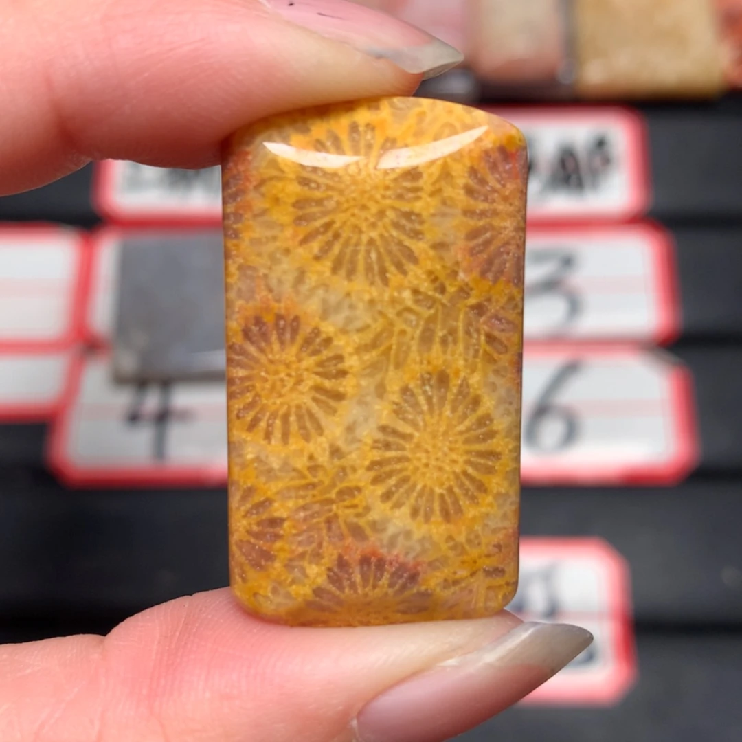 【闪购商品】未镶嵌颈饰硅化玉清*?