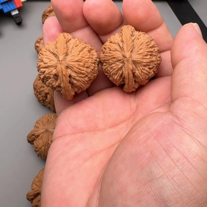 文玩核桃把件山地白狮子38