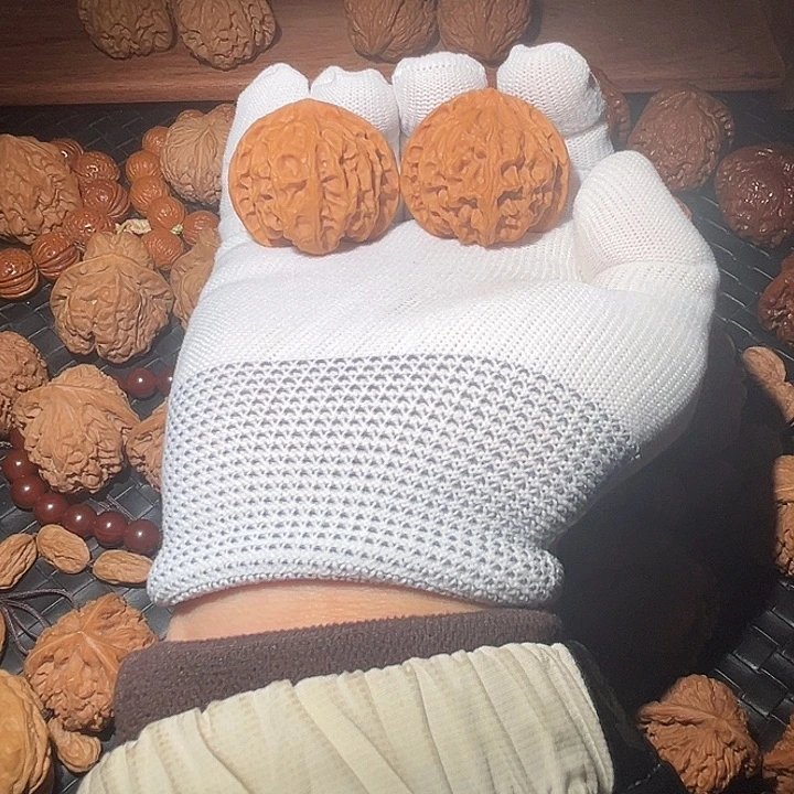 木质类苹果园狮子头