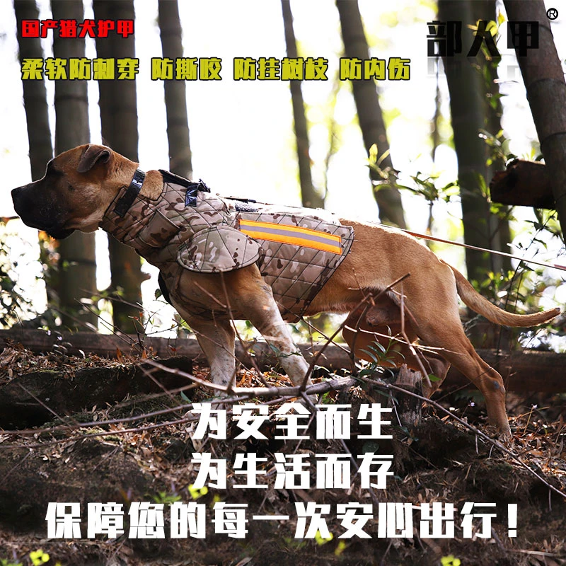 猎犬护甲衣服防护狗子，比特杜高打猎，宠物护甲狗狗