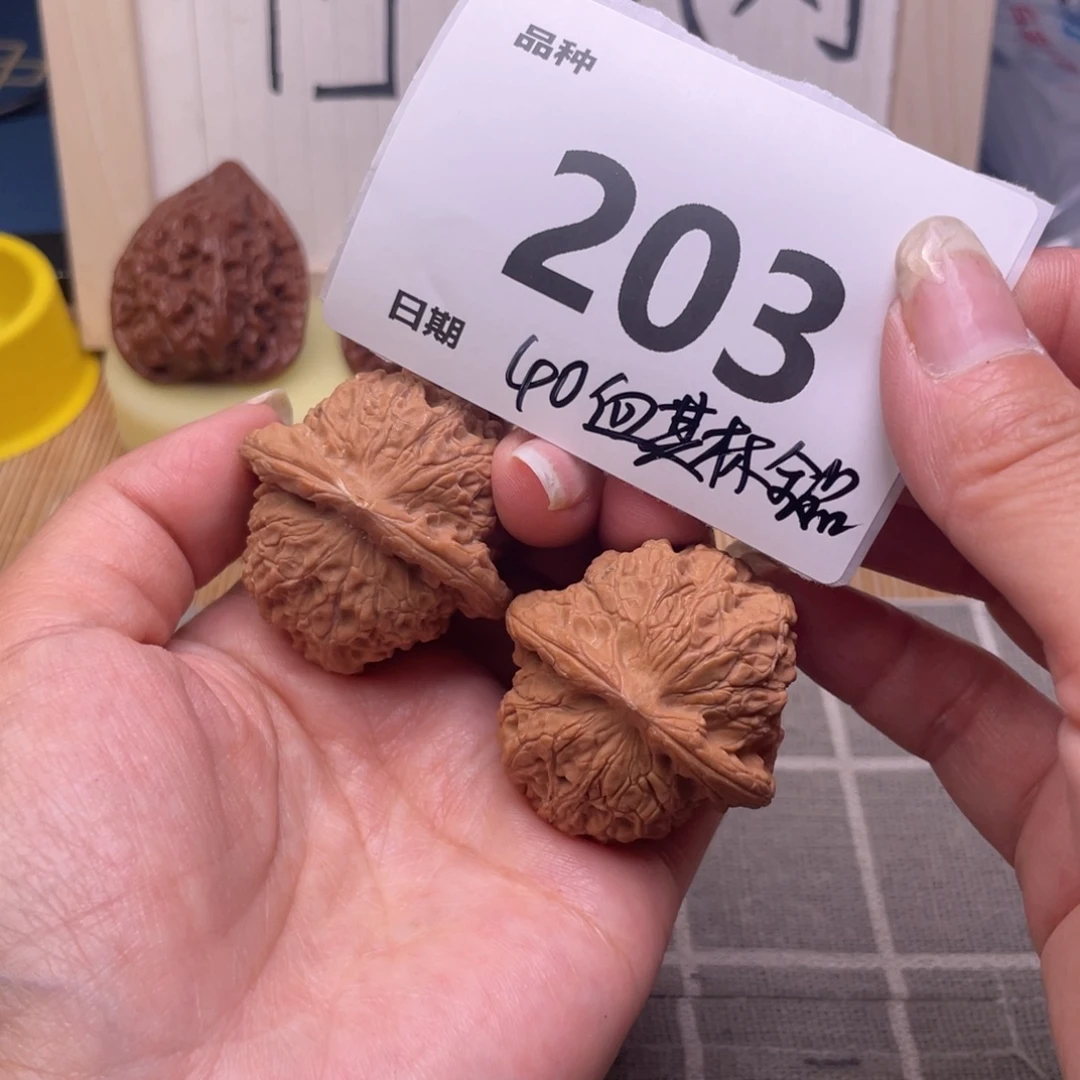 文玩核桃把件203号40全品血麒麟