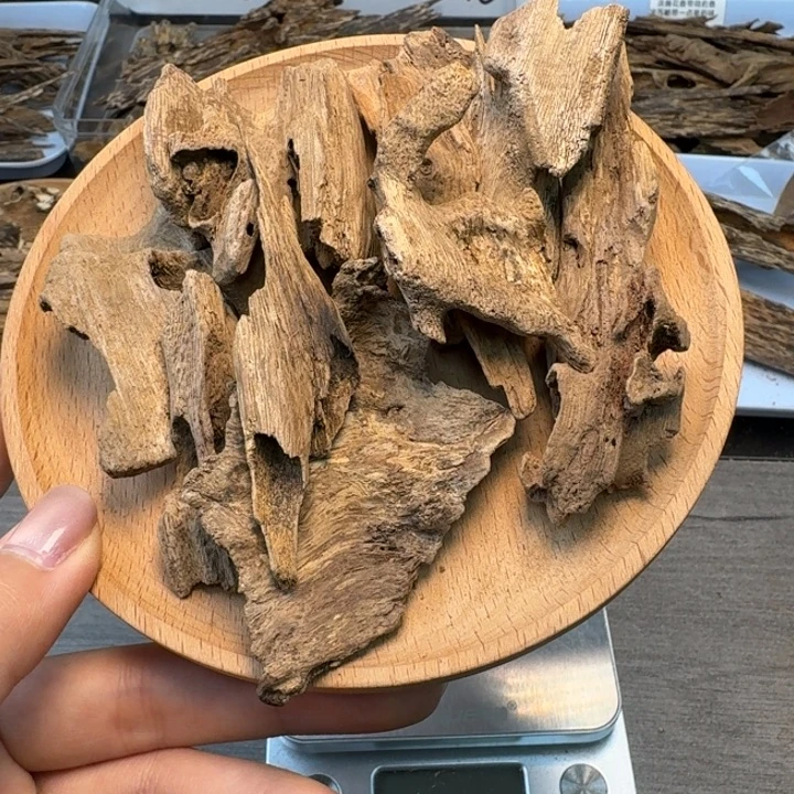 美****海南土沉虫漏31克。