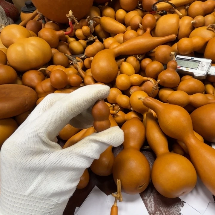 C*…C C的一把小紫葫芦