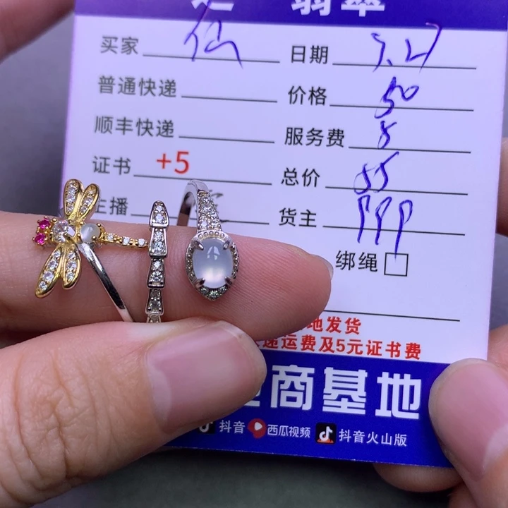 翡翠银S925镶嵌颈饰仙***李