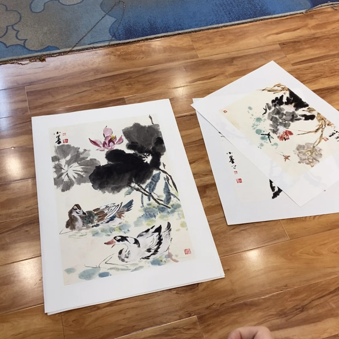 【闪购商品】国画i***?墨鱼精品墨鱼精品