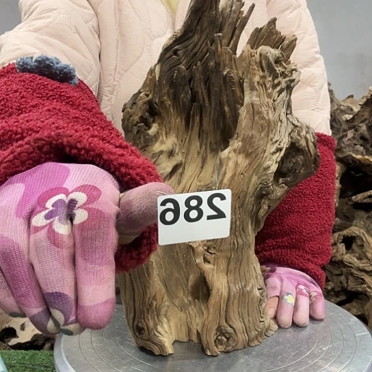 锦**程紫砂的味道很好闻