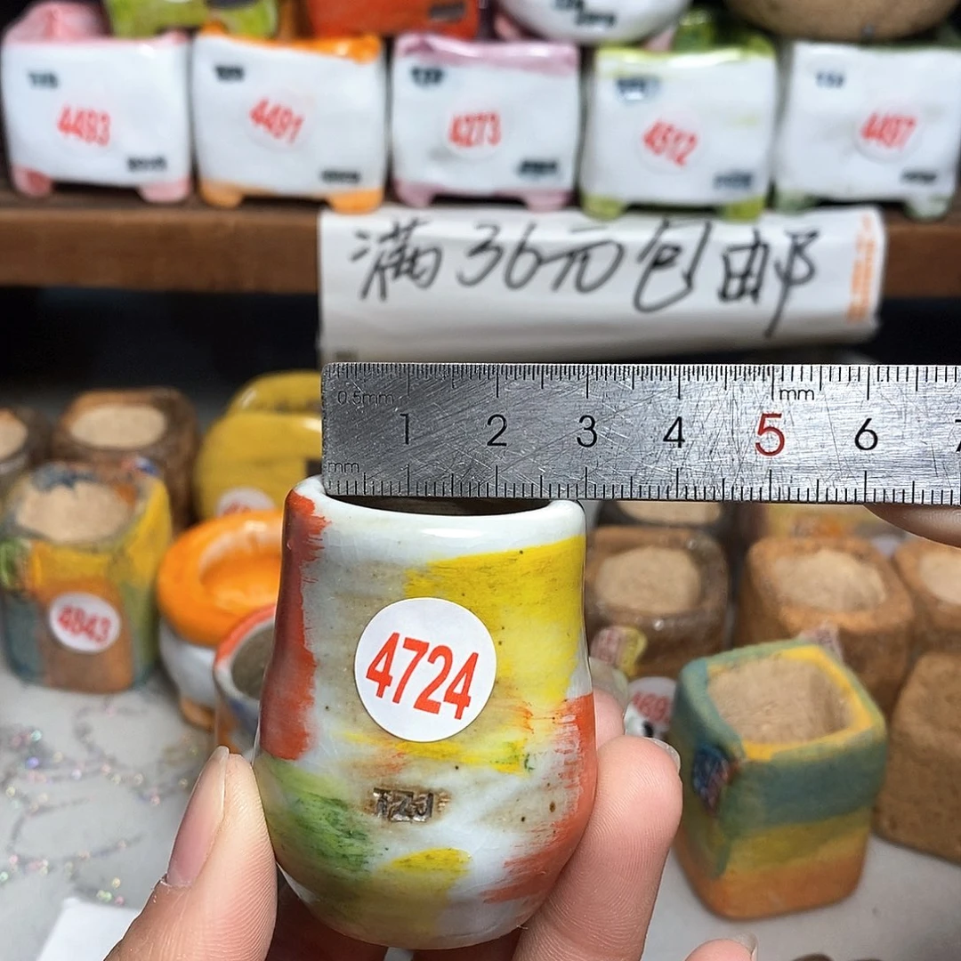 红陶拍5送一个小