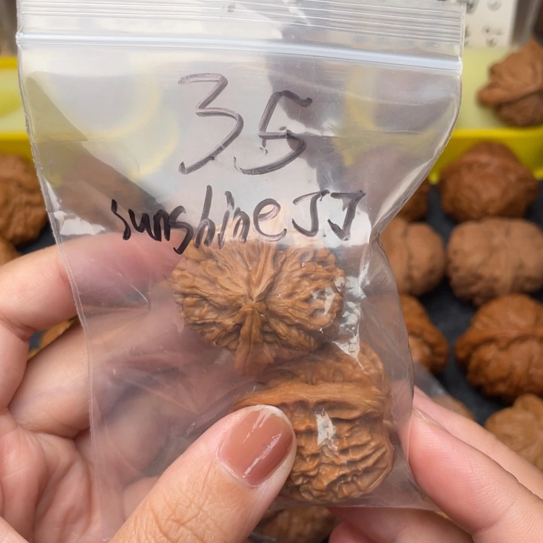 s***憨把件文玩核桃狮子35