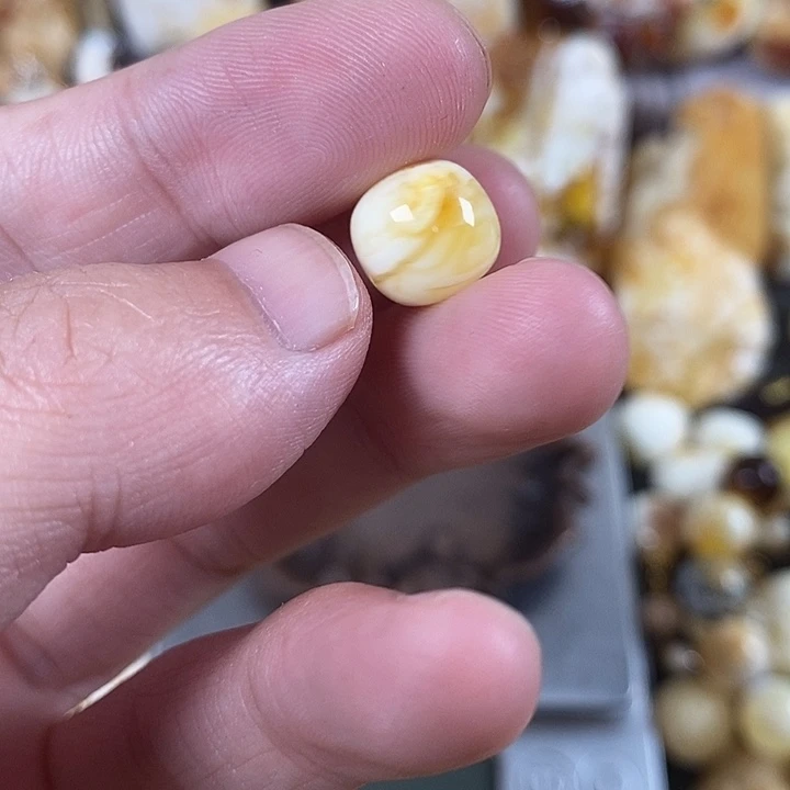 琥珀未镶嵌裸石我