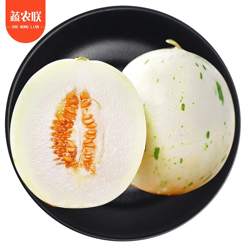 蔬农联 山东聊城月露流星蜜瓜冰淇淋奶香蜜 当季新鲜水果3-9斤