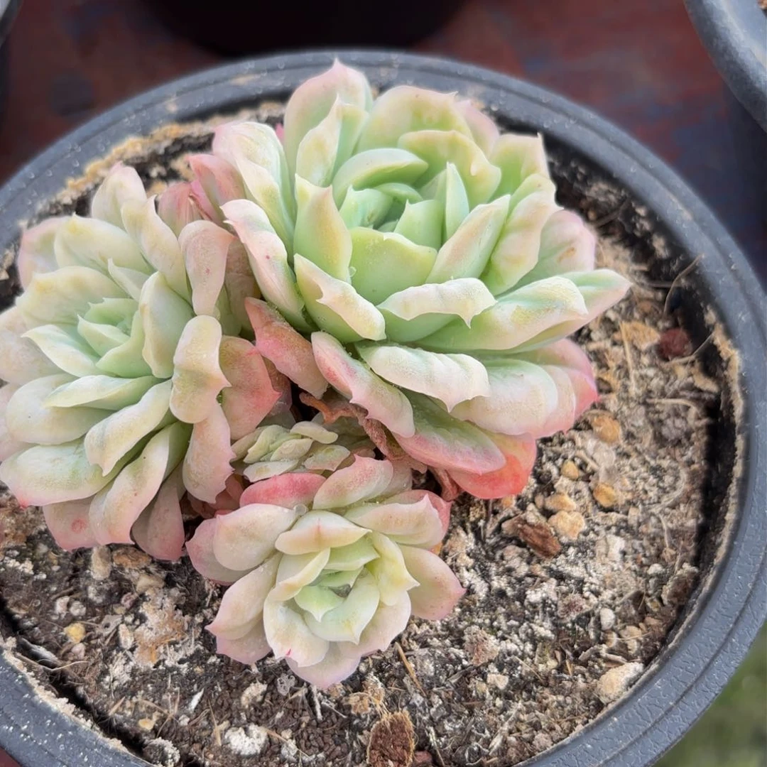 安**贝哈哈哈哈哈哈哈哈哈哈哈哈