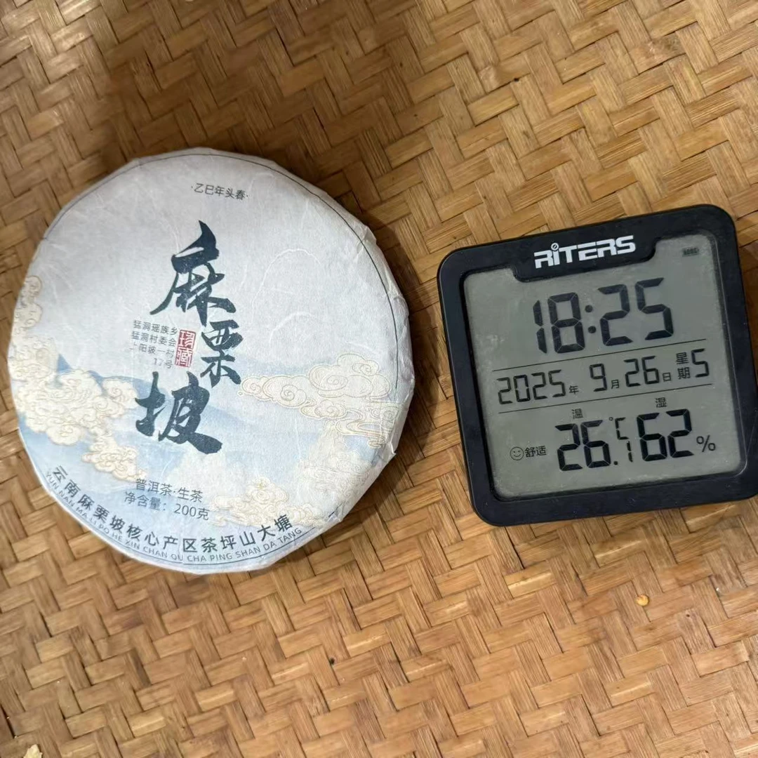 2023年麻栗坡茶坪地大塘普洱生茶饼200克M304号9月26日