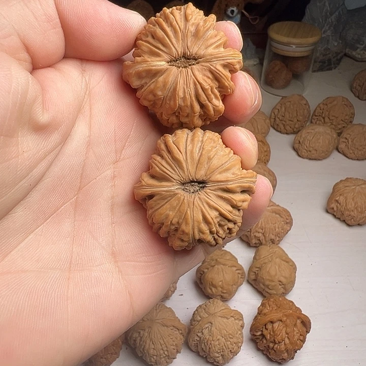 平谷大菊花底子四座楼