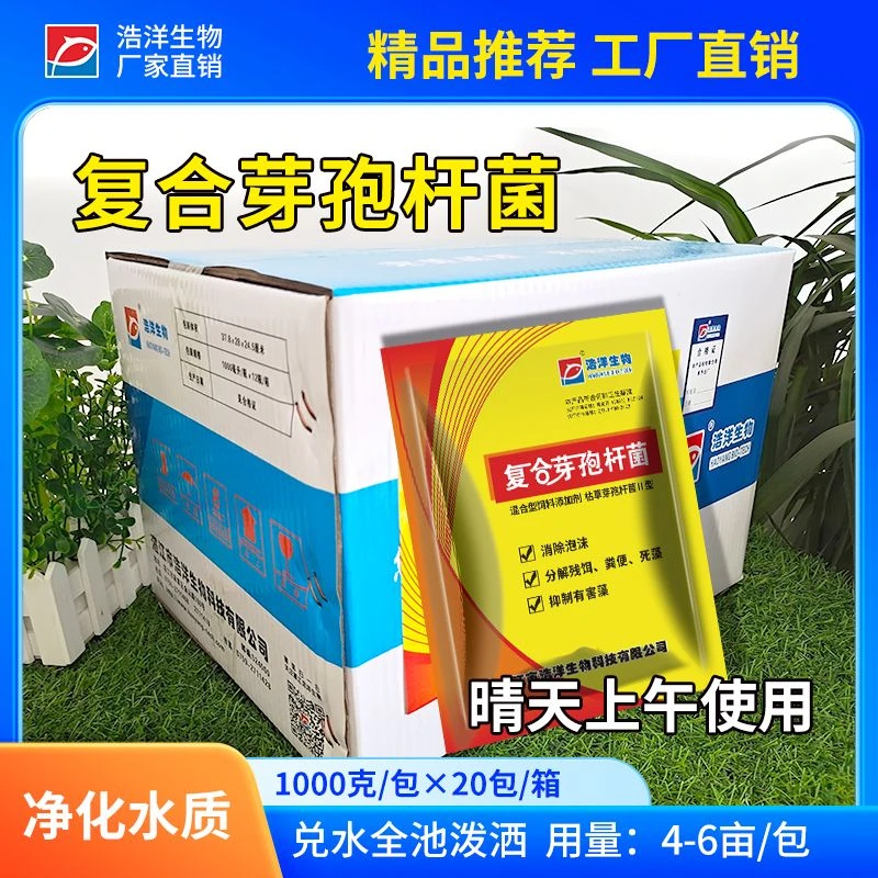 浩洋生物水产养殖 复合芽孢杆菌 净化水质消除泡沫去污转化有机质