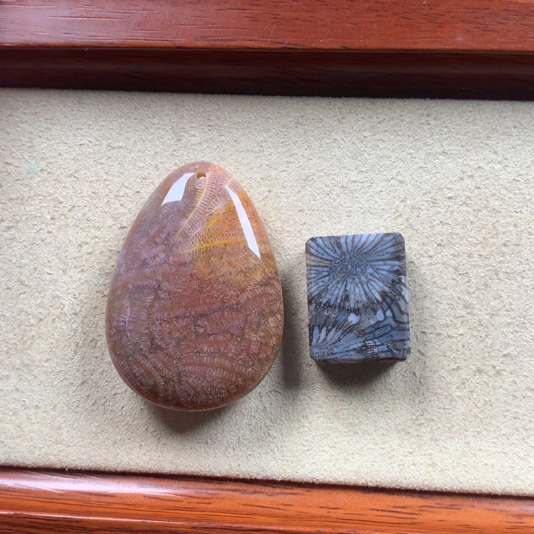 未镶嵌吊坠漏40/个。01硅化珊瑚（珊瑚玉）