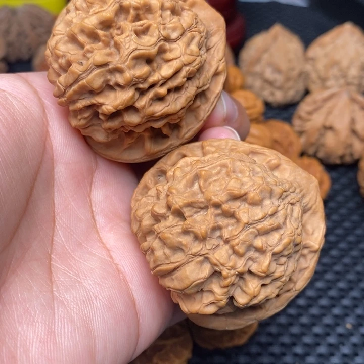 秦岭野生11111111111