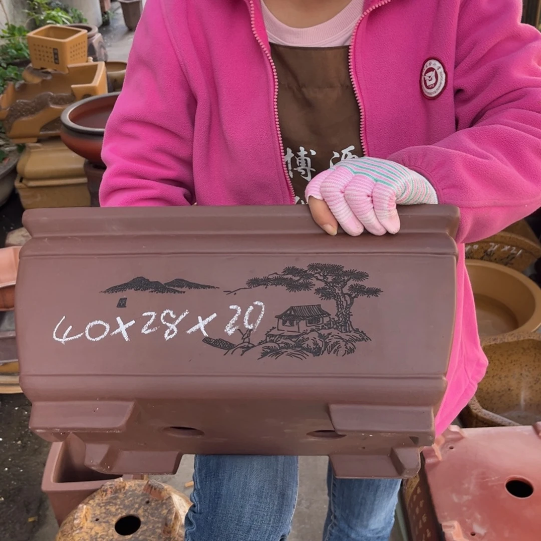 紫砂花盆盆景艺术