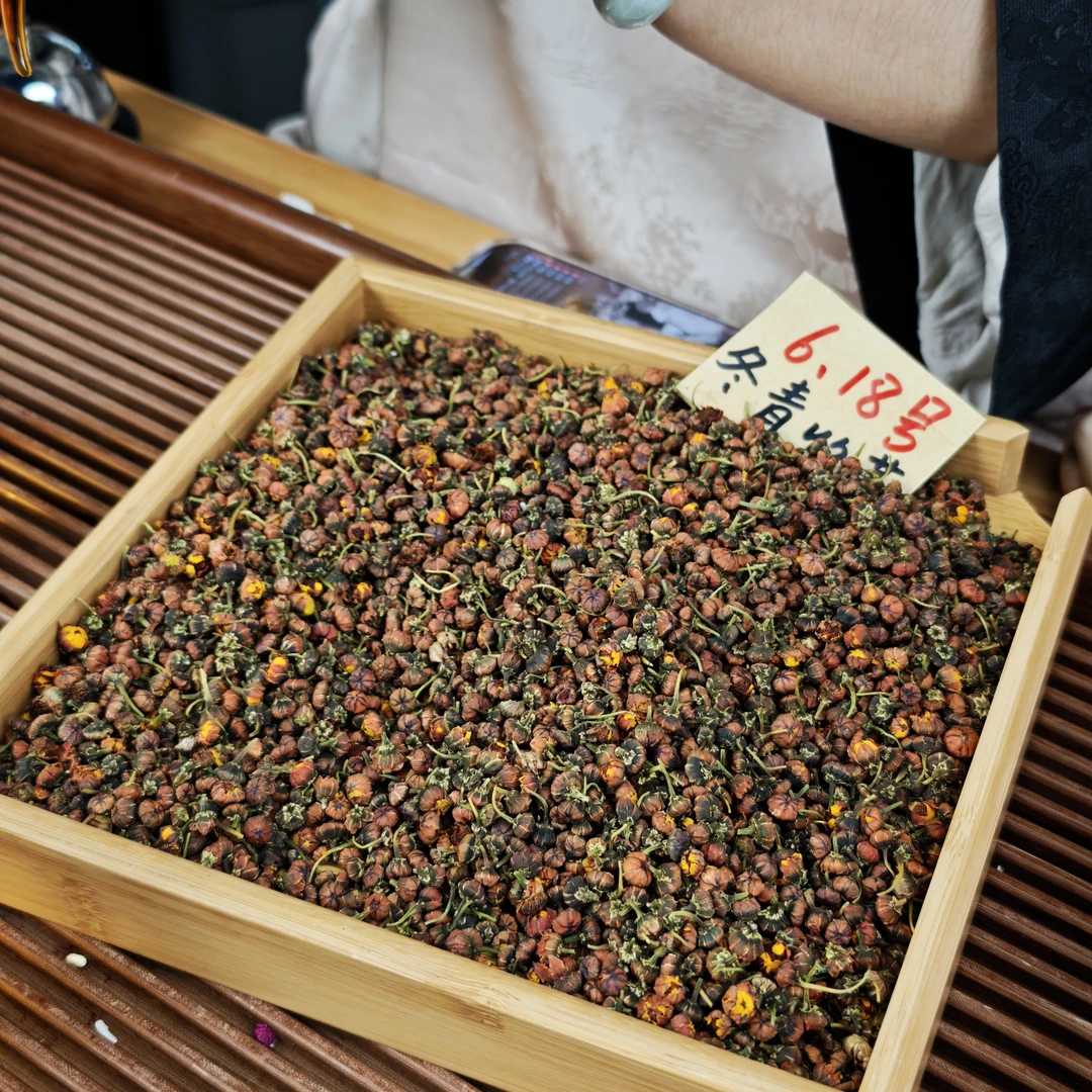 克里阳头茬昆仑雪胎菊 高海拔 冬青收茶