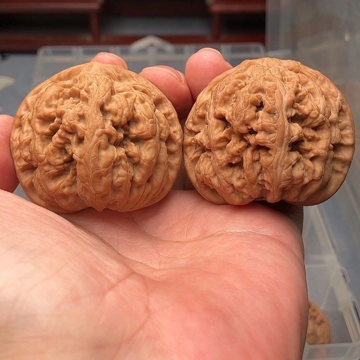文玩核桃把件平谷大粗筋48