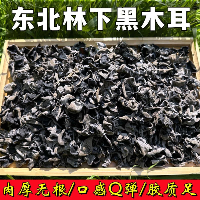 东北黑木耳木耳无硫肉厚高泡发野生无添加无根小碗耳家用商用干货