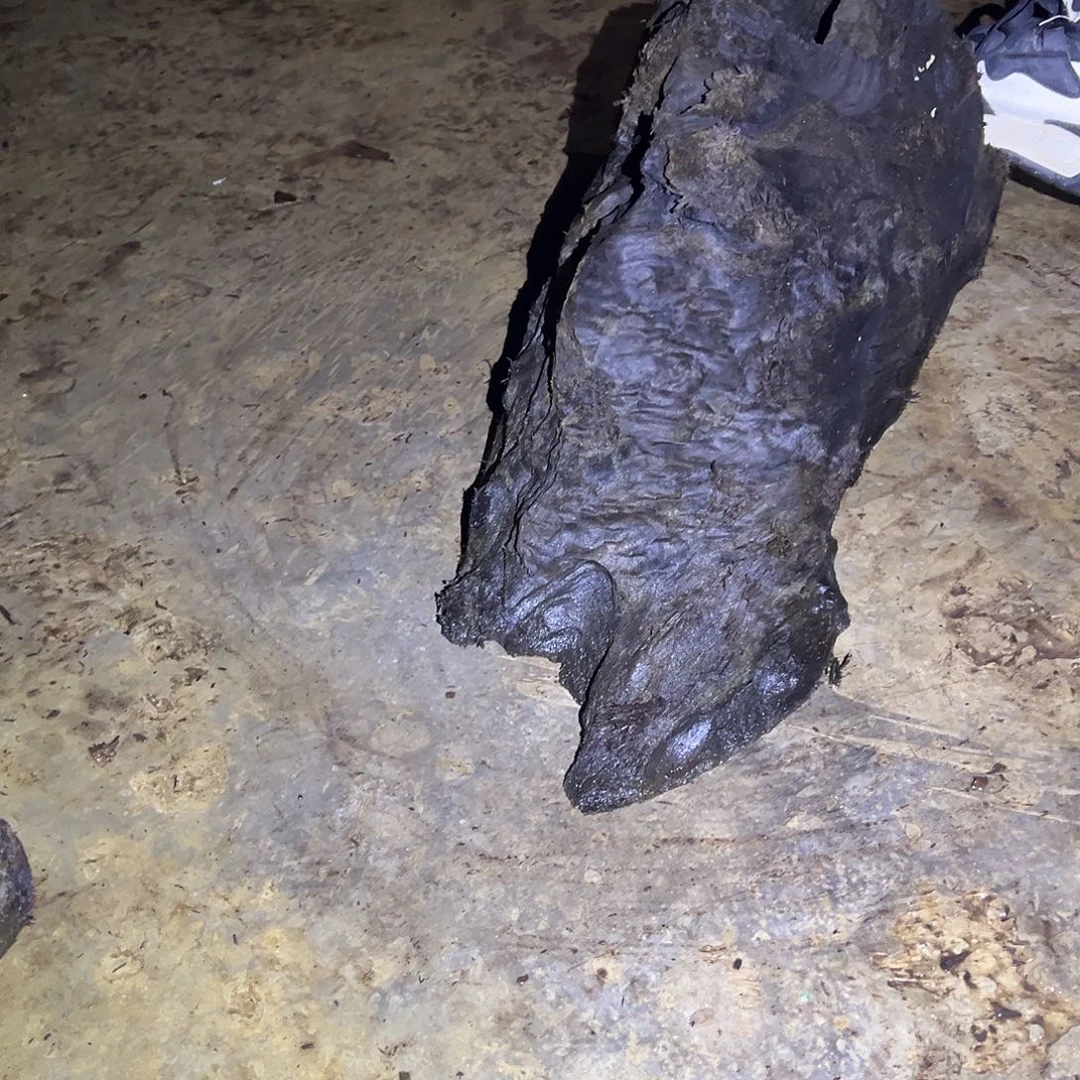 福*哥金丝楠阴沉木的一个小山村里的